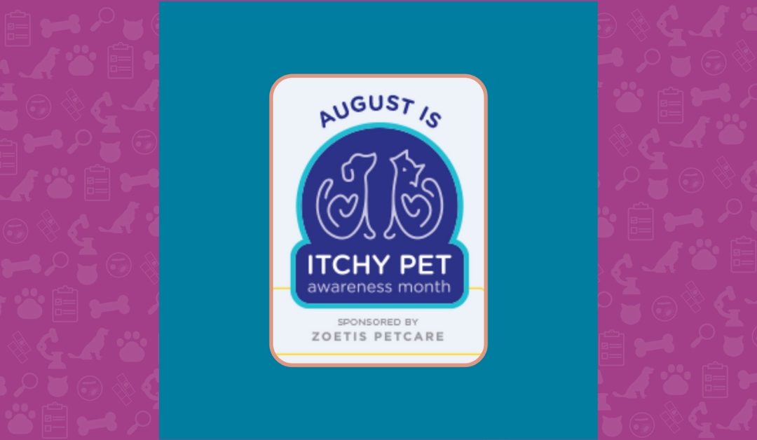 August is Itchy Pet Awareness Month- Time to Get Ready!